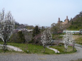 愛媛旅行