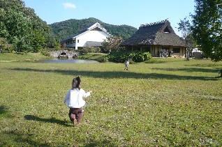 丹波の黒枝豆