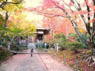 京都紅葉