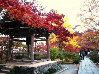 京都紅葉