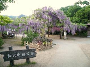 藤公園