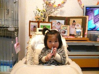 ゆわりん1歳お誕生日