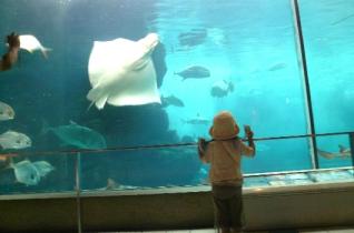 須磨水族園