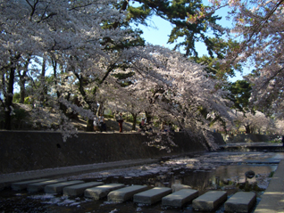 岡本・夙川