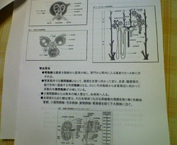 勉強会資料