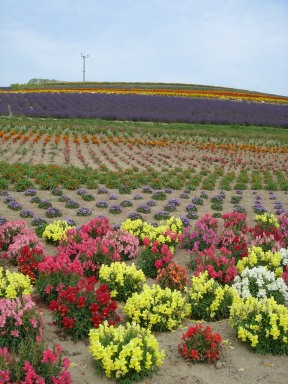 日の出公園