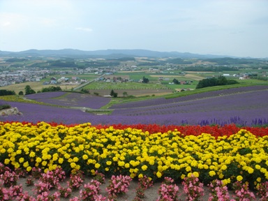 日の出公園