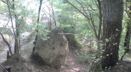 岩と松が混在してます