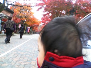 紅葉狩り