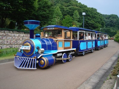 花フェスタ記念公園