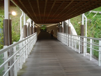 花フェスタ記念公園