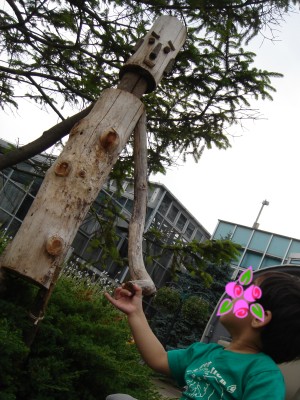 花フェスタ記念公園