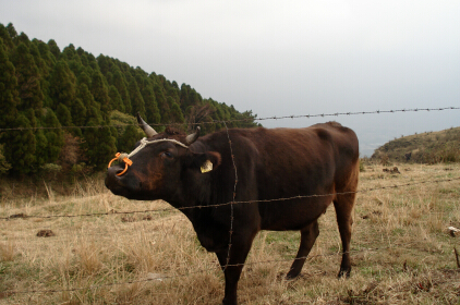 DSC03976blog.jpg