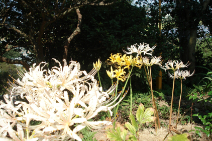 DSC03595blog.jpg