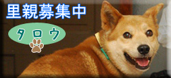 middle_1218631320.jpg
