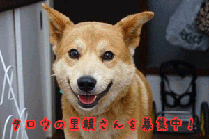 middle_1218631349.gif