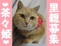 ec62a3bfe76476d889cddd08f774128d.gif