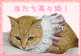 fd0914406a388e45ce6e7ace08ca28b6.gif