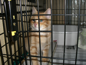 img1f7e4f66zikazj.jpg