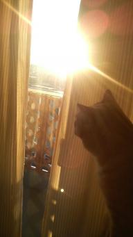 ふくと初日の出