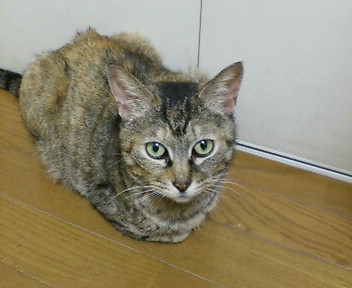 D1001146.JPG