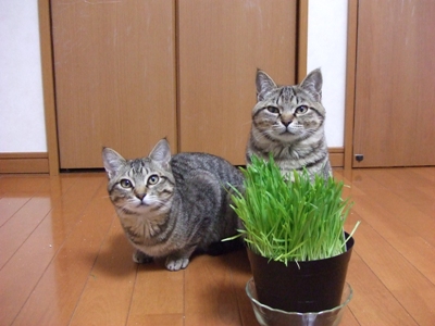 DSCF1251.JPG
