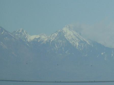 ２０１０．０３０３八ヶ岳－３