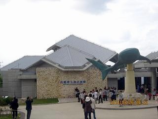 美ら海水族館.JPG