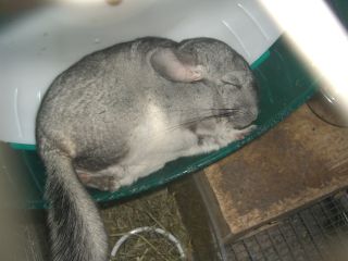 2008011902_320.jpg