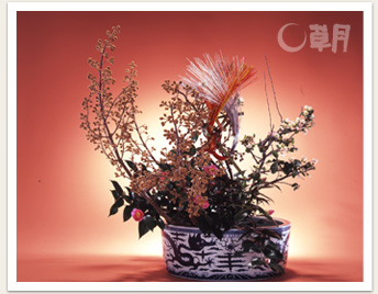 １．３０草月の花.jpg
