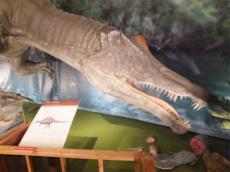 スピノサウルス巨大生体モデル