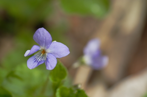 IMG_6646.jpg
