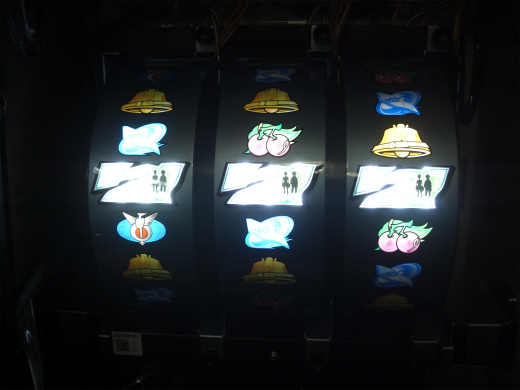 sｴｳﾚｶ (3).jpg