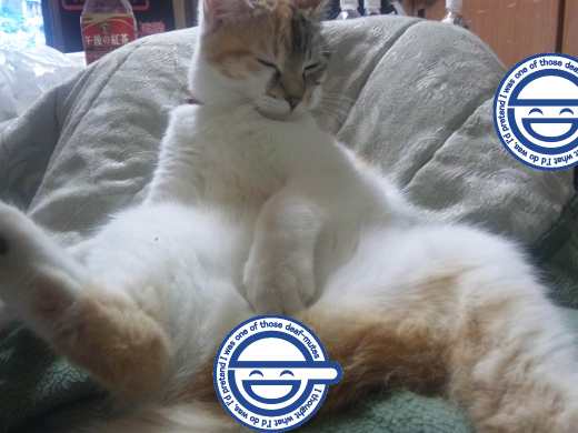sシャナ.jpg