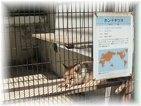 動物園02.JPG