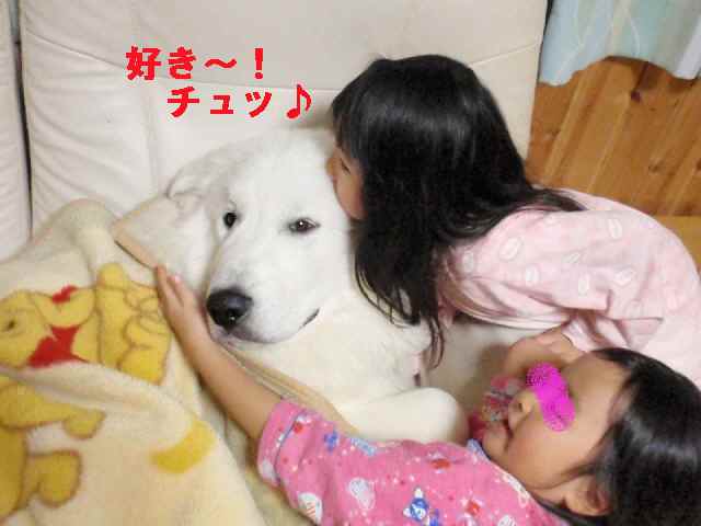 可愛い.jpg