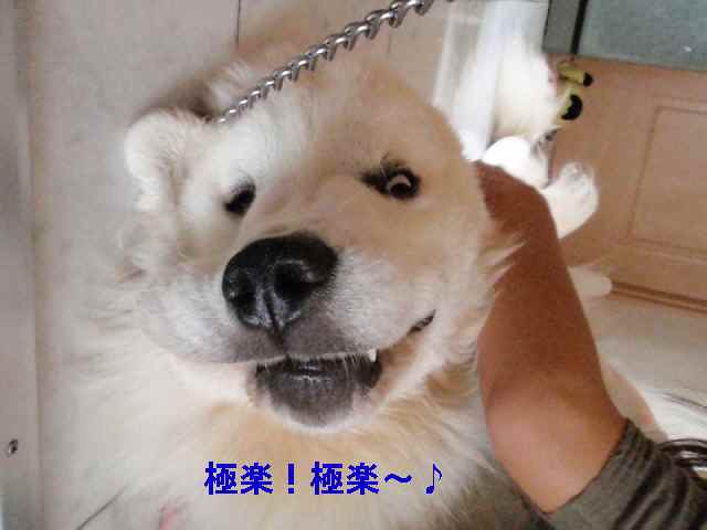 気持ちよか～.jpg