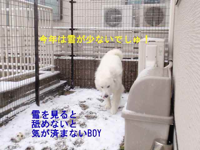 雪.jpg