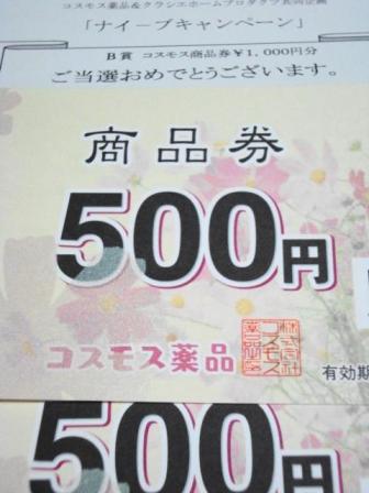 DSC01146.JPG