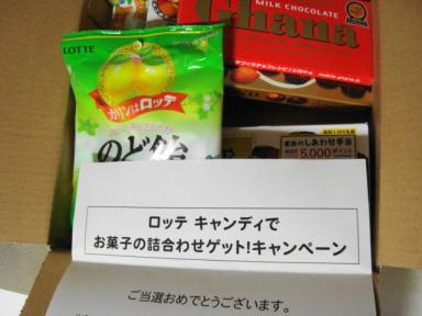 DSC01901.JPG