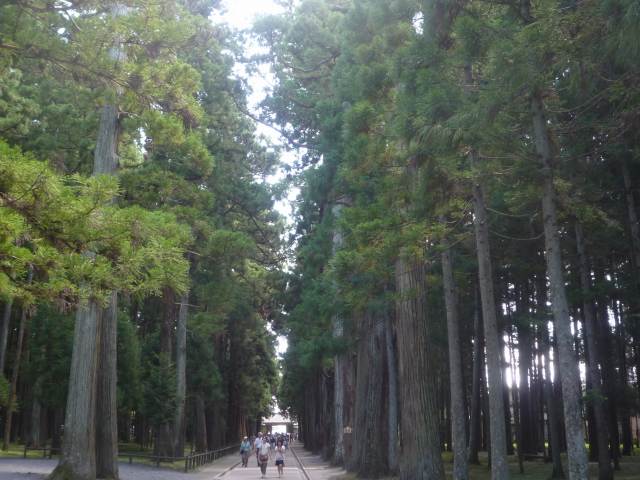 涼しい木々の瑞巌寺