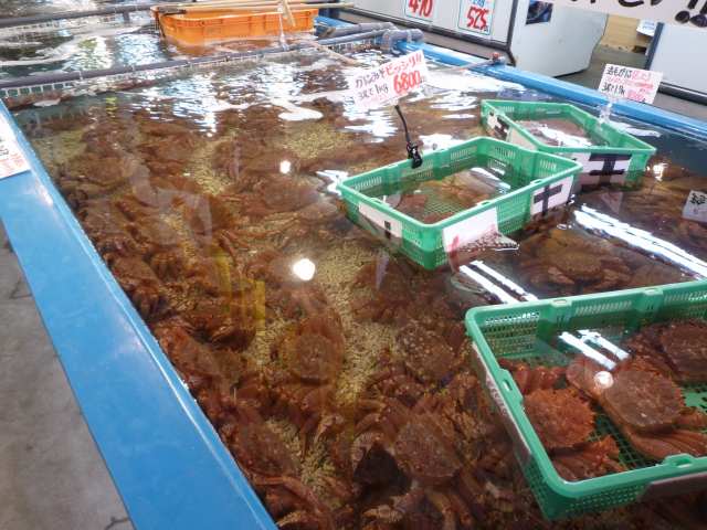 朝市ずわいがに
