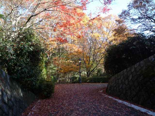 落ち葉の小路