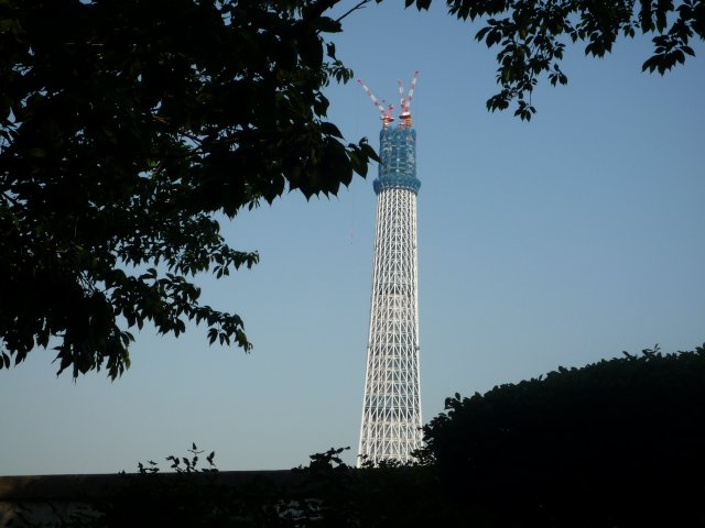 東京スカイツリー工事中全景