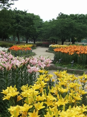 千種公園ゆり園外観