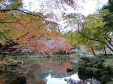 成田山紅葉