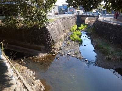 山王川