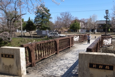 新桜橋