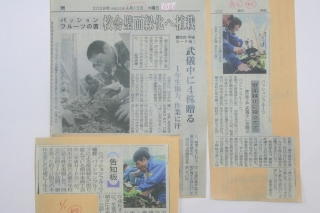 中日新聞２