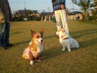 画像 009_2.jpg